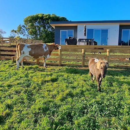 Country Comfort - Only 10 Minutes From Hamilton Cbd エクステリア 写真