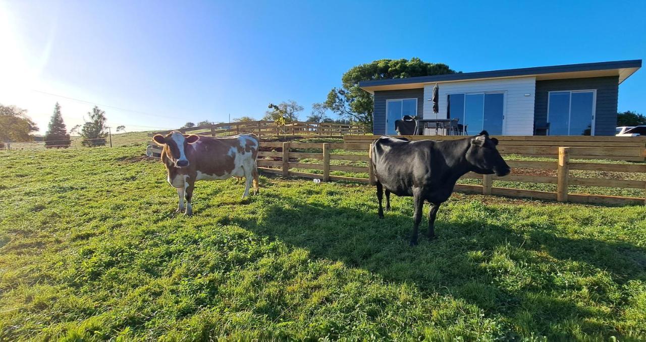 Country Comfort - Only 10 Minutes From Hamilton Cbd エクステリア 写真