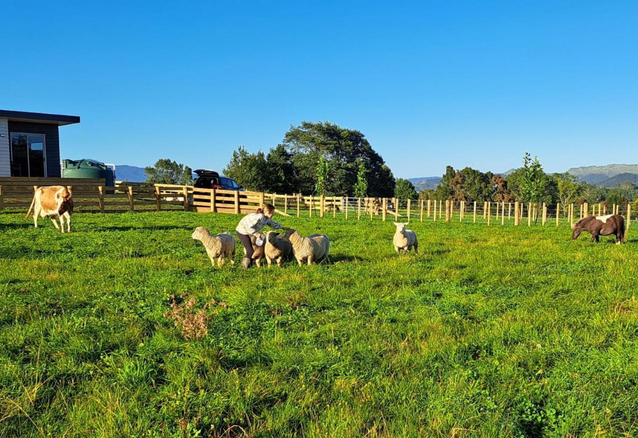 Country Comfort - Only 10 Minutes From Hamilton Cbd エクステリア 写真