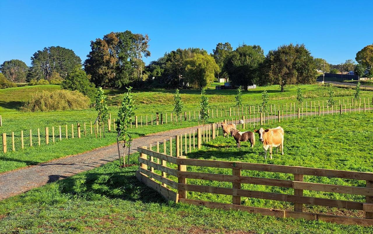 Country Comfort - Only 10 Minutes From Hamilton Cbd エクステリア 写真