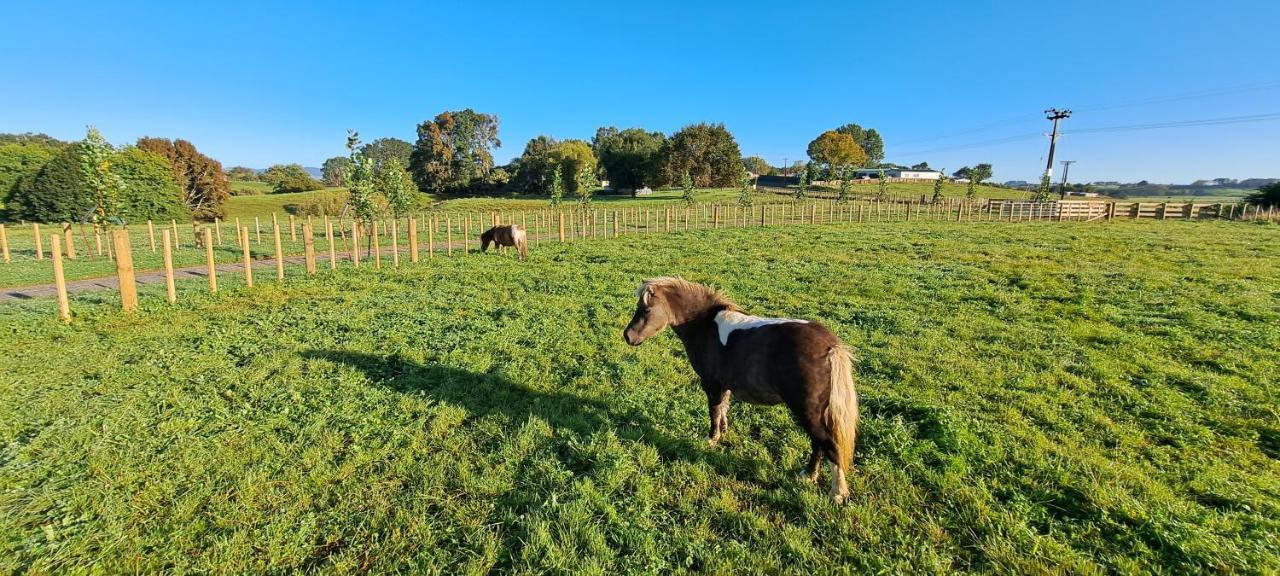 Country Comfort - Only 10 Minutes From Hamilton Cbd エクステリア 写真