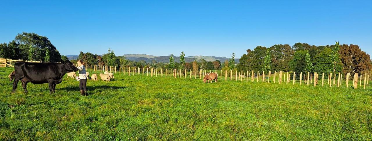 Country Comfort - Only 10 Minutes From Hamilton Cbd エクステリア 写真