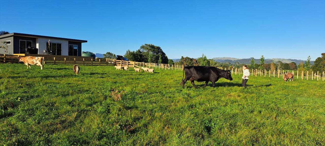 Country Comfort - Only 10 Minutes From Hamilton Cbd エクステリア 写真